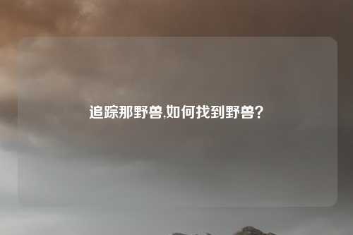 追踪那野兽,如何找到野兽？