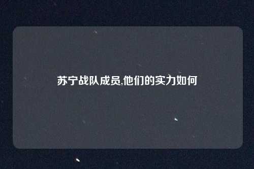 苏宁战队成员,他们的实力如何