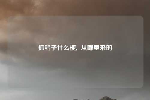 抓鸭子什么梗,  从哪里来的