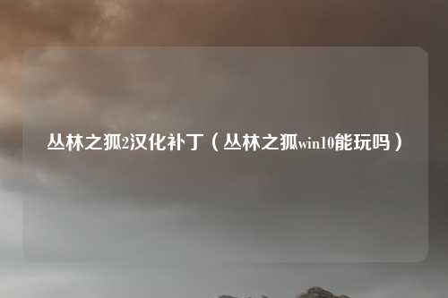 丛林之狐2汉化补丁(丛林之狐win10能玩吗)