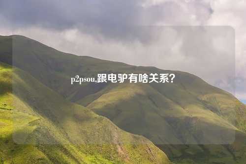 p2psou,跟电驴有啥关系？