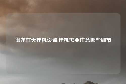 御龙在天挂机设置,挂机需要注意哪些细节