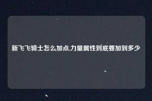 新飞飞骑士怎么加点,力量属性到底要加到多少