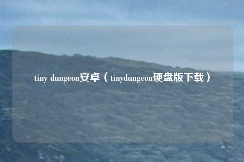 tiny dungeon安卓(tinydungeon硬盘版下载)