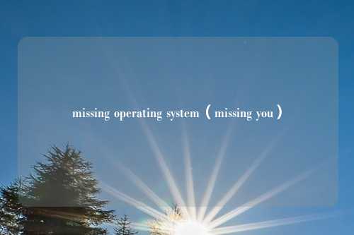 missing operating system（missing you）