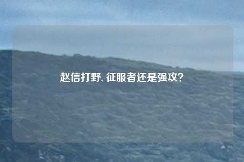 赵信打野, 征服者还是强攻？