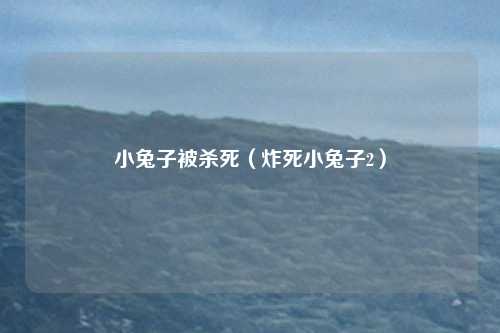 小兔子被杀死(炸死小兔子2)