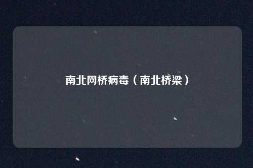 南北网桥病毒(南北桥梁)