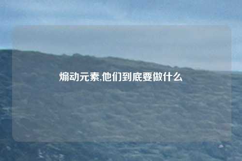 煽动元素,他们到底要做什么