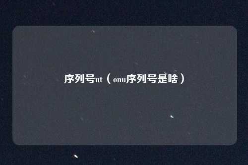 序列号nt(onu序列号是啥)