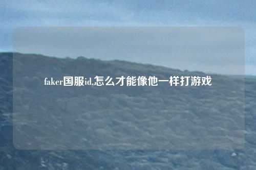 faker国服id,怎么才能像他一样打游戏