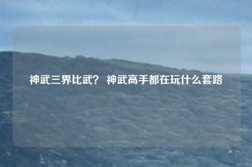 神武三界比武? 神武高手都在玩什么套路