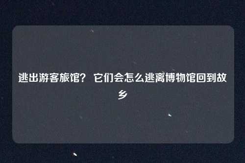 逃出游客旅馆？ 它们会怎么逃离博物馆回到故乡