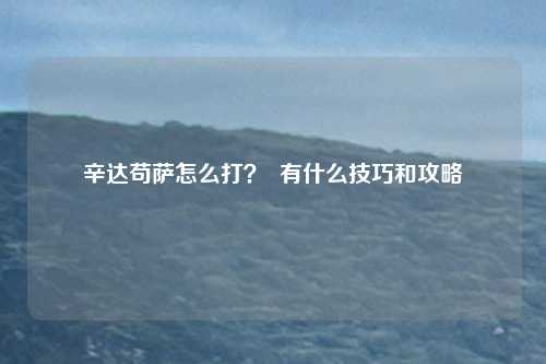 辛达苟萨怎么打? 有什么技巧和攻略