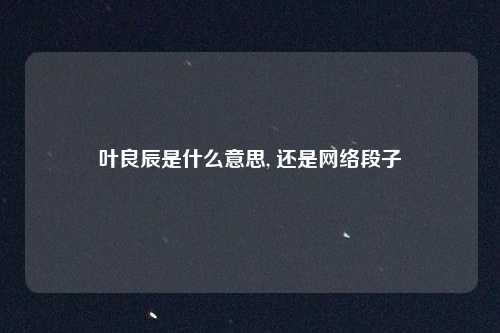 叶良辰是什么意思, 还是网络段子