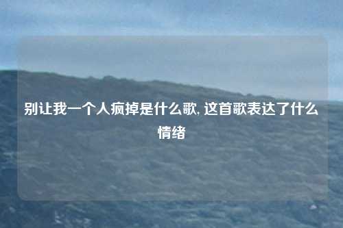 别让我一个人疯掉是什么歌, 这首歌表达了什么情绪