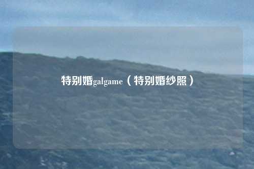 特别婚galgame（特别婚纱照）