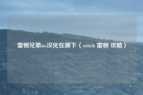 雷顿兄弟ios汉化在哪下（switch 雷顿 攻略）