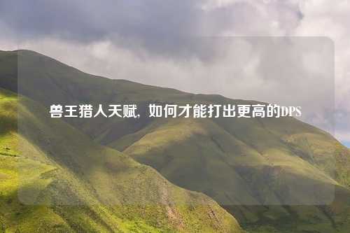 兽王猎人天赋,  如何才能打出更高的DPS