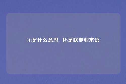 01t是什么意思,  还是啥专业术语