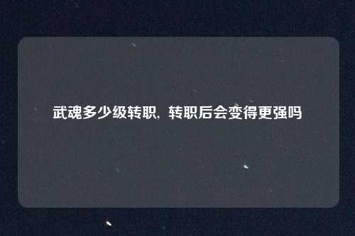 武魂多少级转职,  转职后会变得更强吗