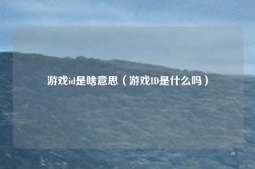 游戏id是啥意思（游戏ID是什么吗）