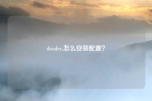 dscaler,怎么安装配置？