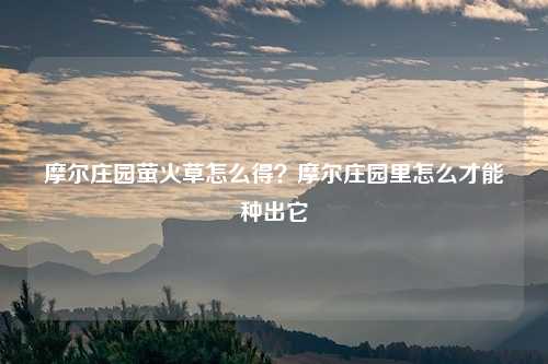 摩尔庄园萤火草怎么得？摩尔庄园里怎么才能种出它