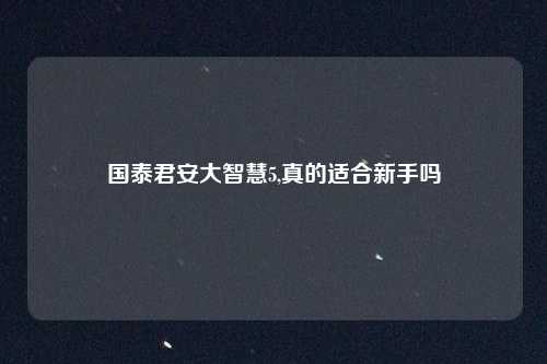 国泰君安大智慧5,真的适合新手吗