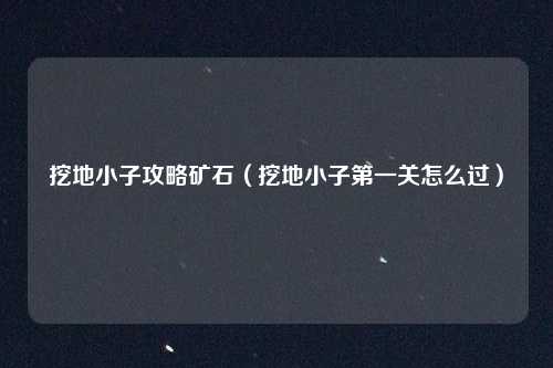 挖地小子攻略矿石(挖地小子第一关怎么过)