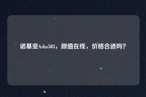 诺基亚Asha503，颜值在线，价格合适吗？