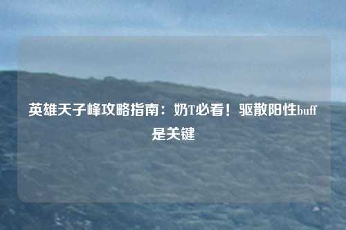 英雄天子峰攻略指南：奶T必看！驱散阳性buff是关键