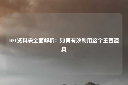 DNF资料袋全面解析：如何有效利用这个重要道具