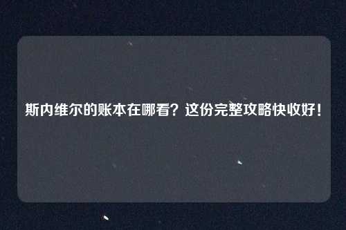 斯内维尔的账本在哪看？这份完整攻略快收好！