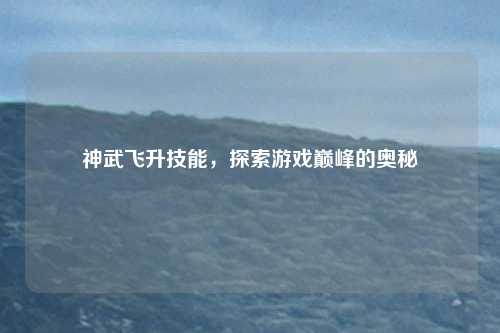 神武飞升技能,探索游戏巅峰的奥秘