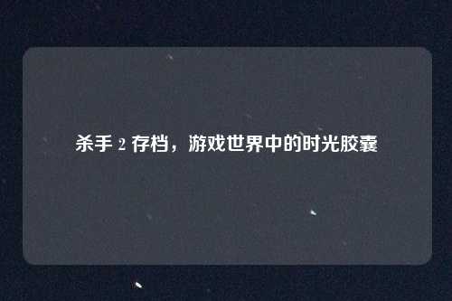 杀手 2 存档，游戏世界中的时光胶囊