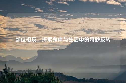 部位相反,探索身体与生活中的奇妙反转