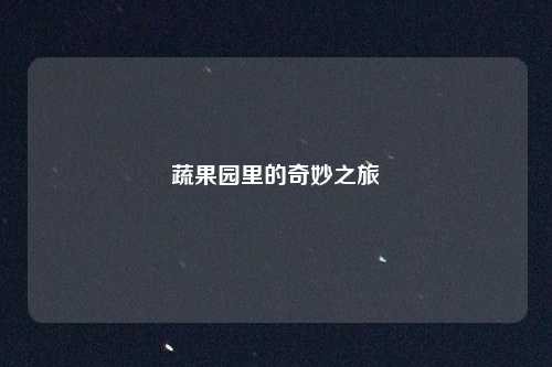 蔬果园里的奇妙之旅