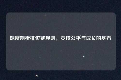 深度剖析排位赛规则,竞技公平与成长的基石