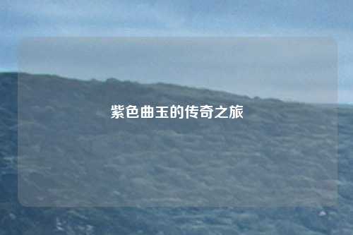 紫色曲玉的传奇之旅