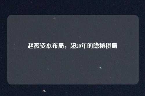 赵薇资本布局，超20年的隐秘棋局