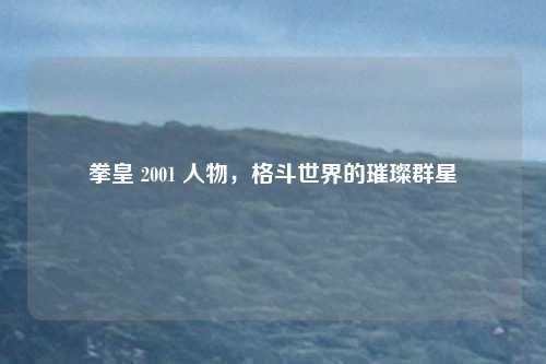 拳皇 2001 人物，格斗世界的璀璨群星