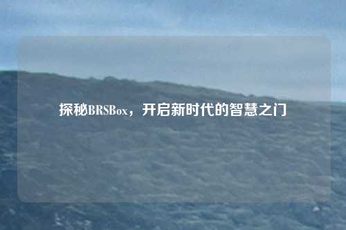 探秘BRSBox,开启新时代的智慧之门
