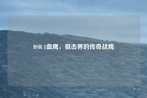 DSR 1血鹰,狙击界的传奇战鹰