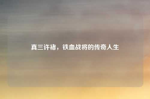 真三许褚，铁血战将的传奇人生