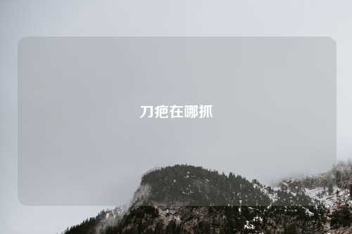 刀疤在哪抓