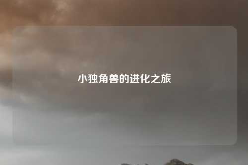 小独角兽的进化之旅