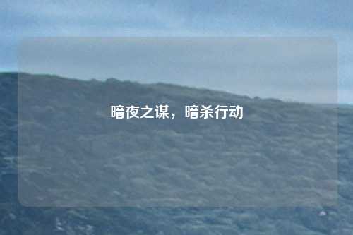 暗夜之谋，暗杀行动