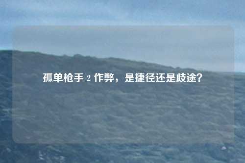 孤单枪手 2 作弊，是捷径还是歧途？