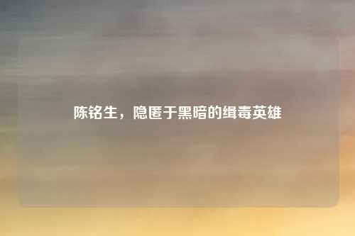 陈铭生,隐匿于黑暗的缉毒英雄